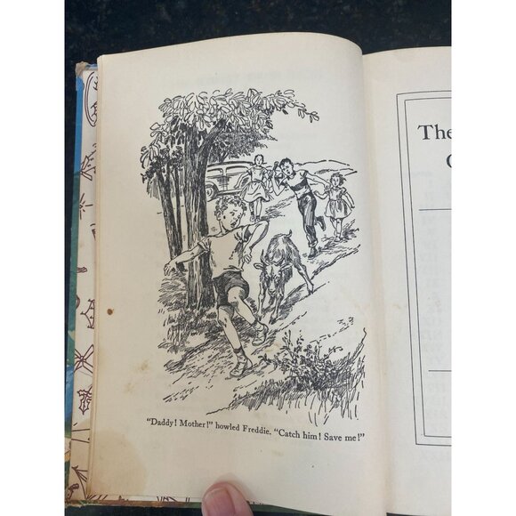 The Bobbsey Twins Camping Out, Laura Lee Hope, #16 - Picture 7 of 8